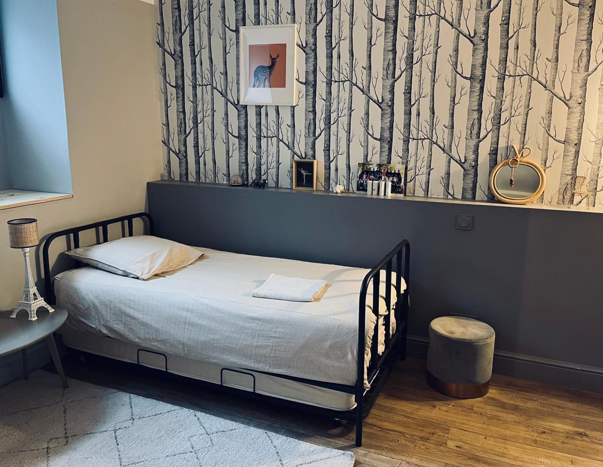 Villa Family House Centre, Pool, Garden, Air Conditioning Bordeaux